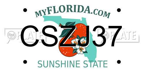 CSZJ37 Florida License Plate