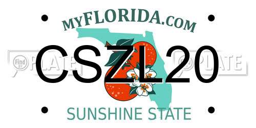 CSZL20 Florida License Plate