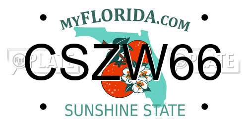CSZW66 Florida License Plate