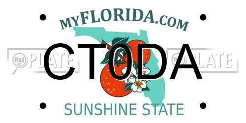 CT0DA Florida License Plate