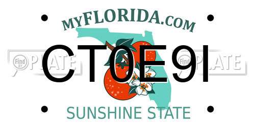 CT0E9I Florida License Plate