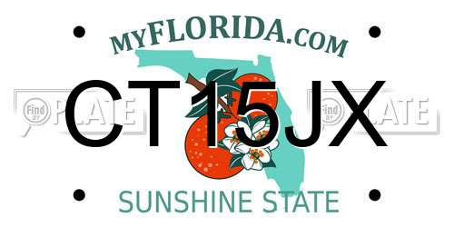 CT15JX Florida License Plate