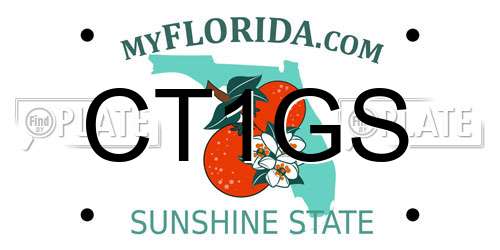CT1GS Florida License Plate