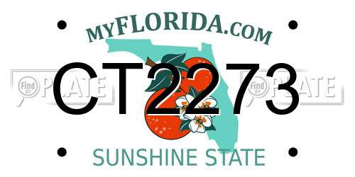 CT2273 Florida License Plate