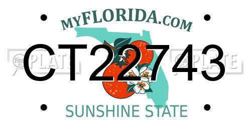 CT22743 Florida License Plate