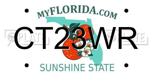 CT23WR Florida License Plate