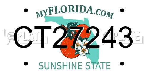 CT27243 Florida License Plate