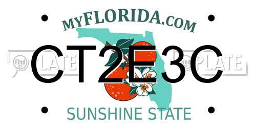 CT2E3C Florida License Plate