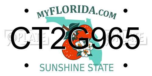 CT2G965 Florida License Plate