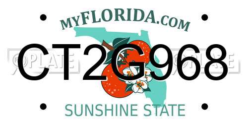 CT2G968 Florida License Plate