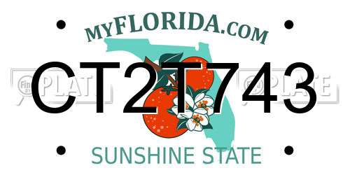 CT2T743 Florida License Plate