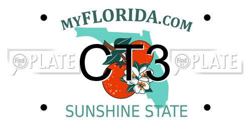CT3 Florida License Plate