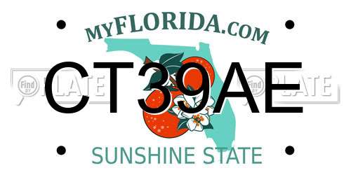 CT39AE Florida License Plate