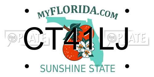 CT41LJ Florida License Plate