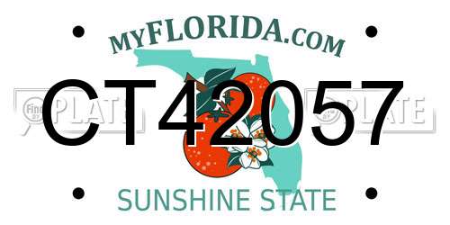 CT42057 Florida License Plate