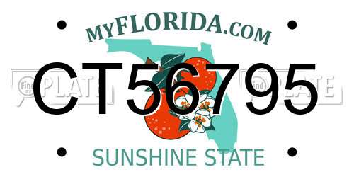 CT56795 Florida License Plate