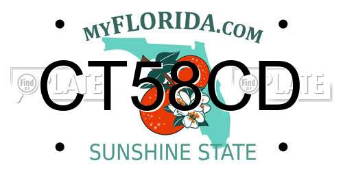 CT58CD Florida License Plate