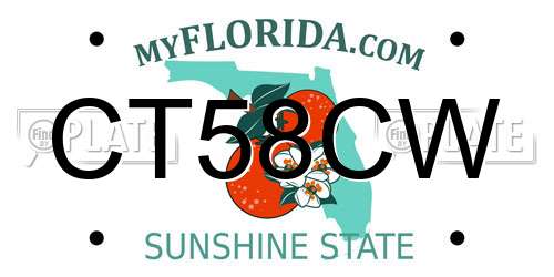 CT58CW Florida License Plate