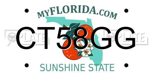 CT58GG Florida License Plate