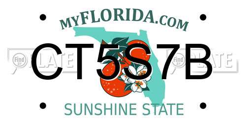 CT5S7B Florida License Plate