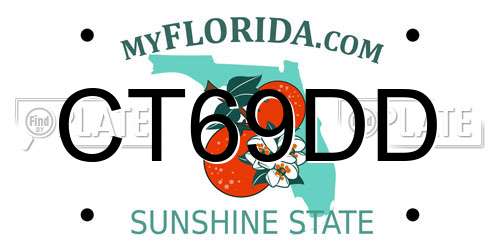 CT69DD Florida License Plate