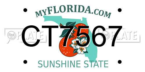 CT7567 Florida License Plate