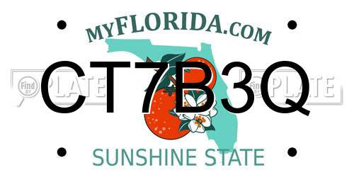 CT7B3Q Florida License Plate