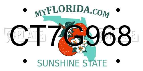 CT7G968 Florida License Plate