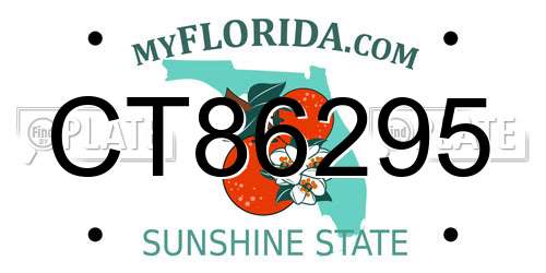 CT86295 Florida License Plate