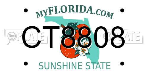 CT8808 Florida License Plate