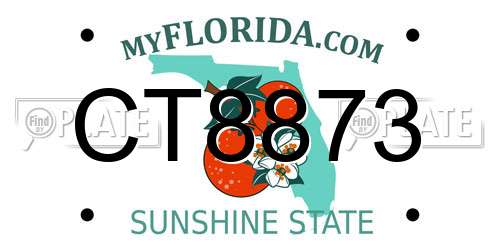 CT8873 Florida License Plate