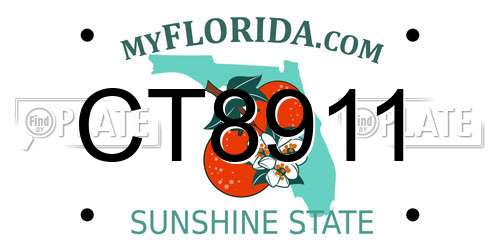 CT8911 Florida License Plate