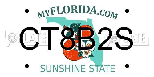 CT8B2S Florida License Plate