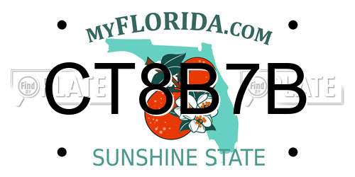CT8B7B Florida License Plate