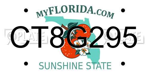 CT8G295 Florida License Plate