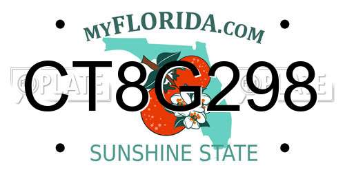 CT8G298 Florida License Plate