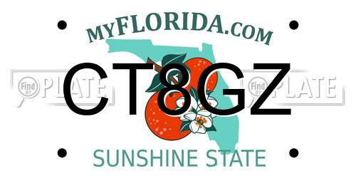 CT8GZ Florida License Plate