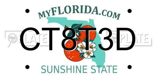 CT8T3D Florida License Plate