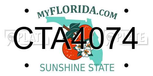CTA4074 Florida License Plate