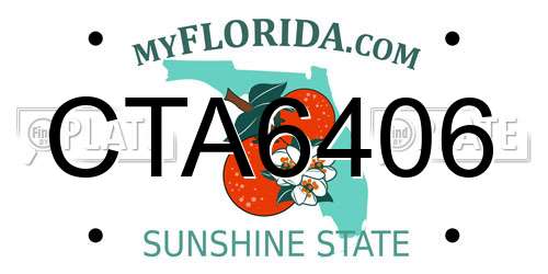 CTA6406 Florida License Plate
