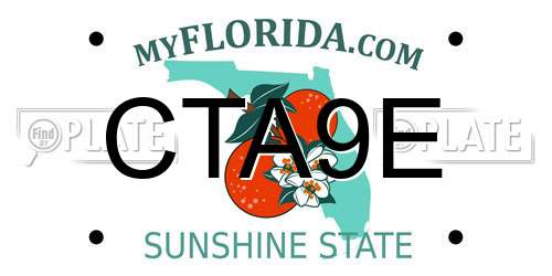 CTA9E Florida License Plate