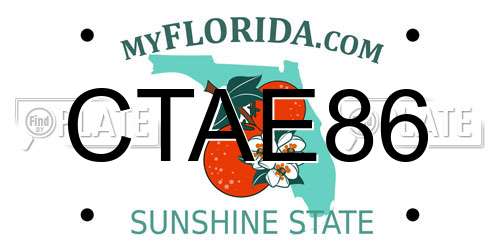 CTAE86 Florida License Plate