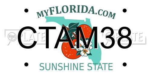 CTAM38 Florida License Plate