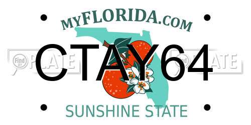 CTAY64 Florida License Plate