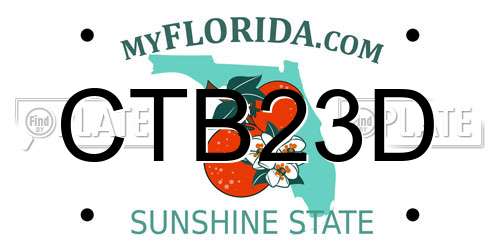CTB23D Florida License Plate
