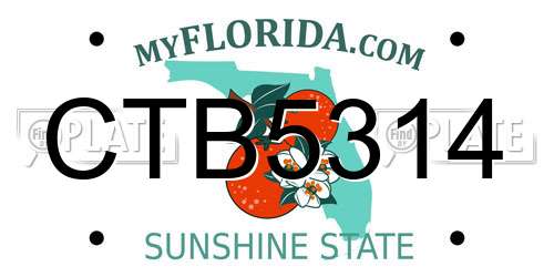 CTB5314 Florida License Plate