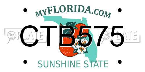 CTB575 Florida License Plate
