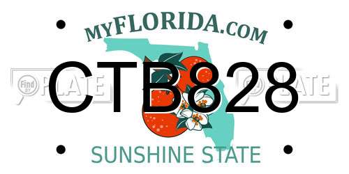 CTB828 Florida License Plate