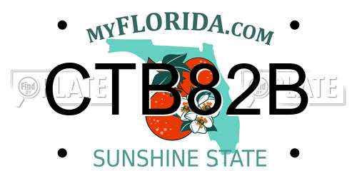 CTB82B Florida License Plate