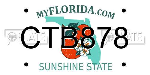 CTB878 Florida License Plate